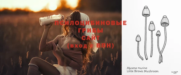 mix Горняк