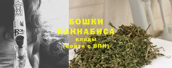 дмт Горно-Алтайск