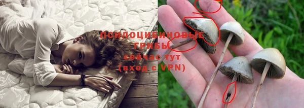 дмт Горно-Алтайск