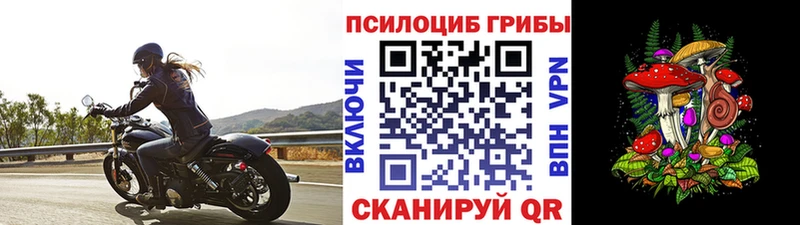Купить закладки  Ирбит  Галлюциногенные грибы Cubensis 